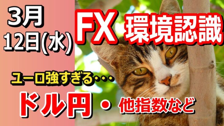 【TAKA FX】ユーロ強すぎｗ　ただちょっと警戒モード　ドル円他各通貨の環境認識解説。各種指数、GOLDなど　3月12日(水)