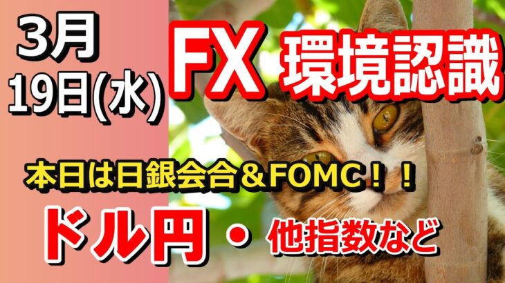 【TAKA FX】調整の戻りに要警戒か？　ドル円他各通貨の環境認識解説。各種指数、GOLDなど　3月19日(水)