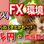 【TAKA FX】調整強く出てきた！　ドル円他各通貨の環境認識解説。各種指数、GOLDなど　3月25日(火)