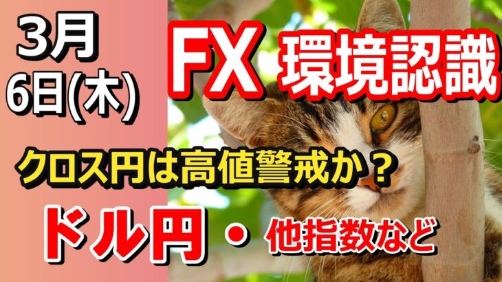 【TAKA FX】クロス円はいいところまで来た感はある・・かも・・　ドル円他各通貨の環境認識解説。各種指数、GOLDなど　3月6日(木)