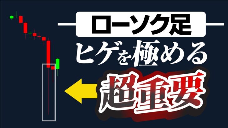 【超重要】ローソク足のヒゲを極めろ！ヒゲから読み取る勝利のサイン