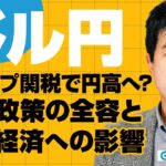 ドル円戦略 トランプ関税で円高へ？関税政策の全容と日本経済への影響は？ 今井雅人氏　2025/4/3【FX予想】#外為ドキッ