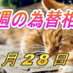【TAKA FX】ドル、円、ユーロ、ポンド、豪ドルの環境認識解説。4月28日(月)～