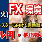 【TAKA FX】続・超ハイボラ相場　ドル円他各通貨の環境認識解説。各種指数、GOLDなど　4月15日(火)