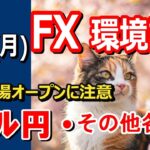 【TAKA FX】夜のアメリカ市場オープンに注意　ドル円他各通貨の環境認識解説。各種指数、GOLDなど　4月21日(月)
