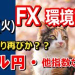 【TAKA FX】ドル売り再びか？　ドル円他各通貨の環境認識解説。各種指数、GOLDなど　4月22日(火)