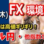 【TAKA FX】ドル円は高値ギリギリの瀬戸際　ドル円他各通貨の環境認識解説。各種指数、GOLDなど　4月24日(木)