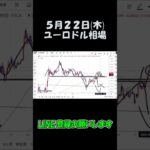5月22日ユーロドル最新予想切り抜き【海外FX投資】 #shorts