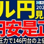 ドル円、円安是正への思惑が再燃…円買い圧力から上値の重い展開が続くか（今夜のFX予想）2025/5/15 #外為ドキッ