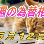 【TAKA FX】ドル、円、ユーロ、ポンド、豪ドルの環境認識解説  5月12日(月)～