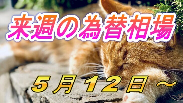 【TAKA FX】ドル、円、ユーロ、ポンド、豪ドルの環境認識解説  5月12日(月)～