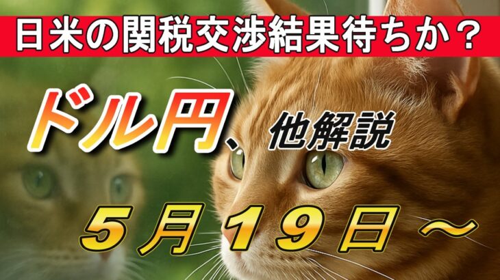 【TAKA FX】ドルの買戻し相場続く… 5月19日(月)～　ドル円他各通貨の環境認識解説