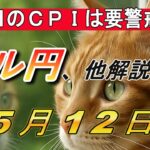 【TAKA FX】5月12日(月)～ドルの買戻し相場続く…　ドル円他各通貨の環境認識解説