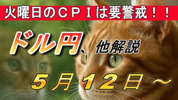 【TAKA FX】5月12日(月)～ドルの買戻し相場続く…　ドル円他各通貨の環境認識解説