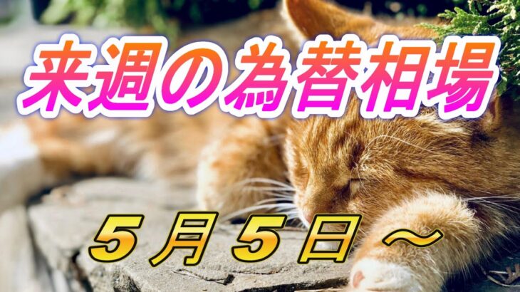 【TAKA FX】ドル、円、ユーロ、ポンド、豪ドルの環境認識解説。5月5日(月)～