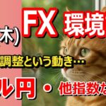 【TAKA FX】これぞ調整局面ですね…　ドル円他各通貨の環境認識解説。各種指数、GOLDなど　5月15日(木)