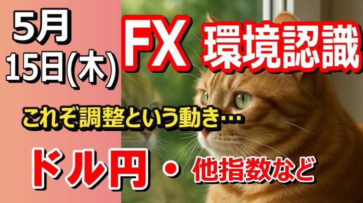 【TAKA FX】これぞ調整局面ですね…　ドル円他各通貨の環境認識解説。各種指数、GOLDなど　5月15日(木)