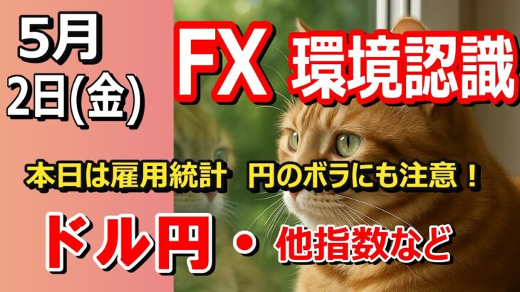 【TAKA FX】ついに動いた！さらに今日は雇用統計！　ドル円他各通貨の環境認識解説。各種指数、GOLDなど　5月2日(金)