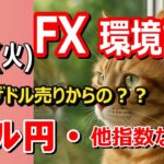 【TAKA FX】米中貿易戦争進展でリスクオン！　ドル円他各通貨の環境認識解説。各種指数、GOLDなど　5月20日(火)