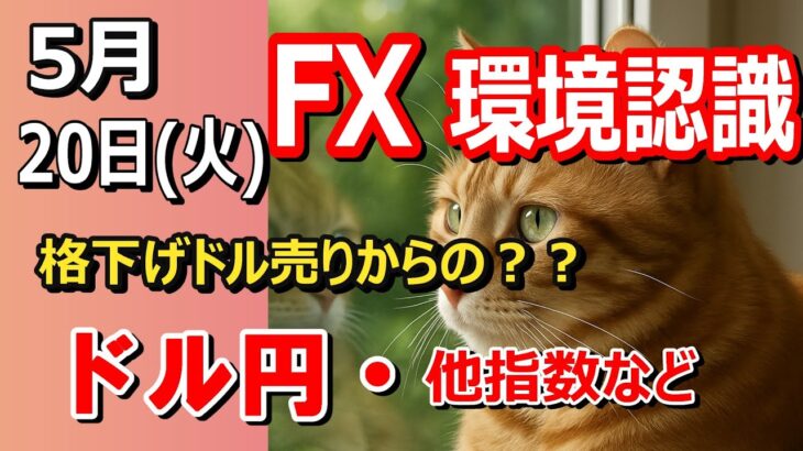 【TAKA FX】米中貿易戦争進展でリスクオン！　ドル円他各通貨の環境認識解説。各種指数、GOLDなど　5月20日(火)