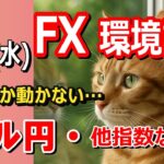 【TAKA FX】米中貿易戦争進展でリスクオン！　ドル円他各通貨の環境認識解説。各種指数、GOLDなど　5月21日(水)