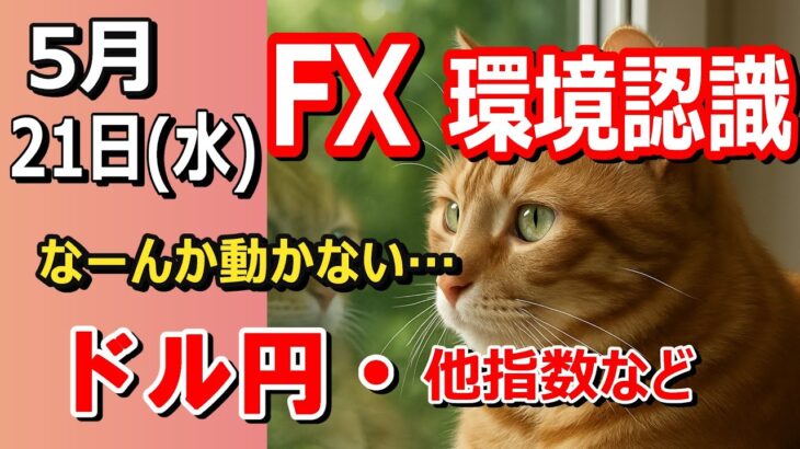 【TAKA FX】米中貿易戦争進展でリスクオン！　ドル円他各通貨の環境認識解説。各種指数、GOLDなど　5月21日(水)