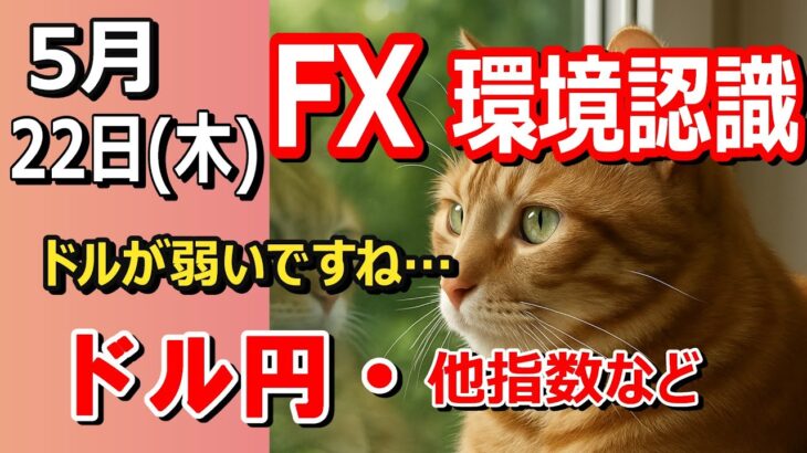 【TAKA FX】ドル弱いね…　ドル円他各通貨の環境認識解説。各種指数、GOLDなど　5月22日(木)