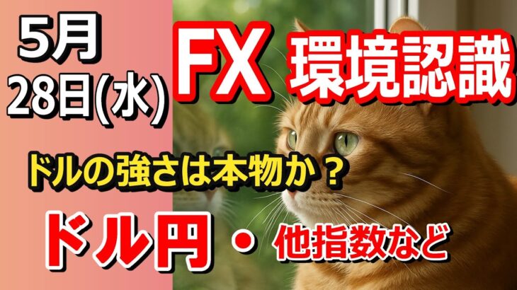 【TAKA FX】ドルは単なる買戻し？トレ転？　ドル円他各通貨の環境認識解説。各種指数、GOLDなど　5月28日(水)