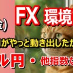【TAKA FX】ドルが直近高値抜け！　ドル円他各通貨の環境認識解説。各種指数、GOLDなど　5月9日(金)