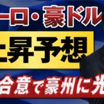 【ドル円予想】高値維持ならず反落か｜豪ドルとユーロに脚光