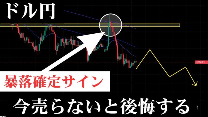 🚨ロング勢終了時のプライスアクション確定…ドル円は売り一択